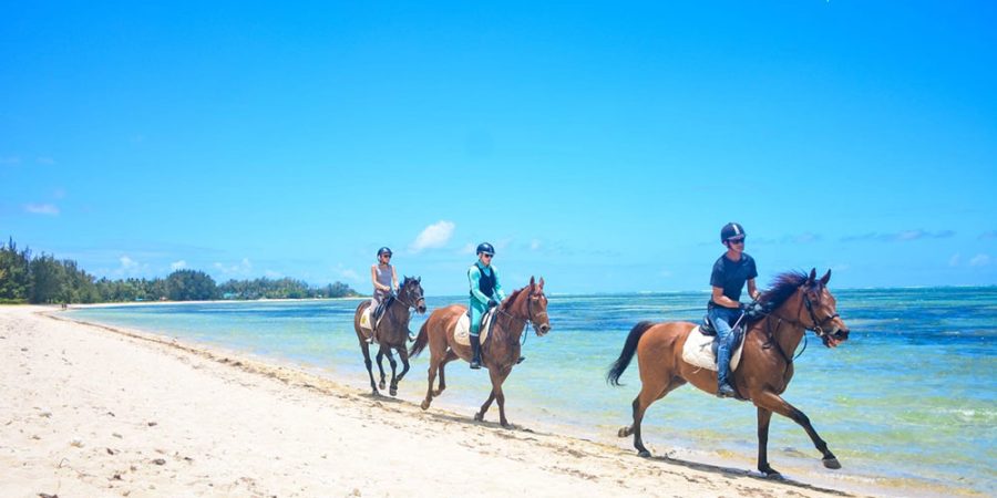 beach-riding-mauritius14