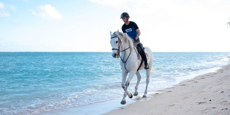 beach-riding-mauritius15